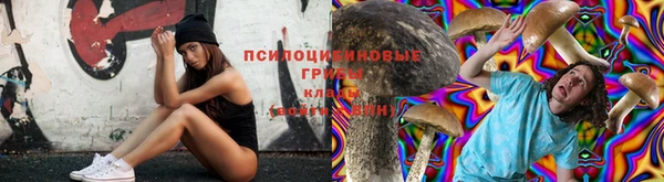 эйфоретик Абинск