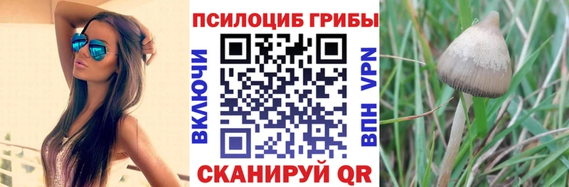 Псилоцибиновые грибы GOLDEN TEACHER  Воронеж 